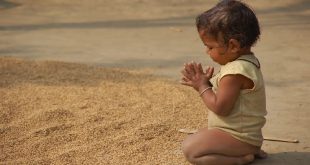 تأثیر قدردانی؛ ۴ روش برای تمرین قدردانی آگاهانه